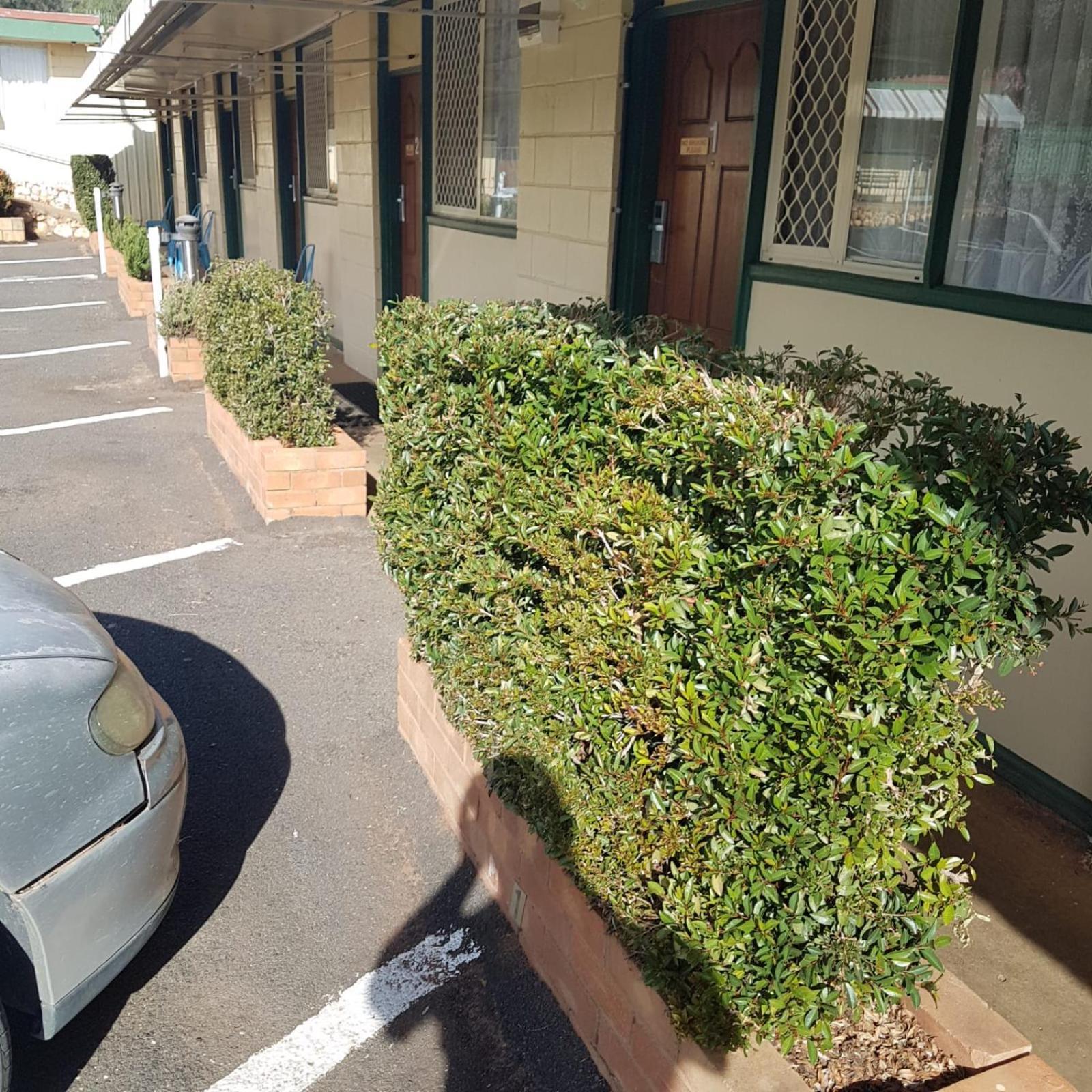 Golden Peak Motel Peakhill Peak Hill エクステリア 写真