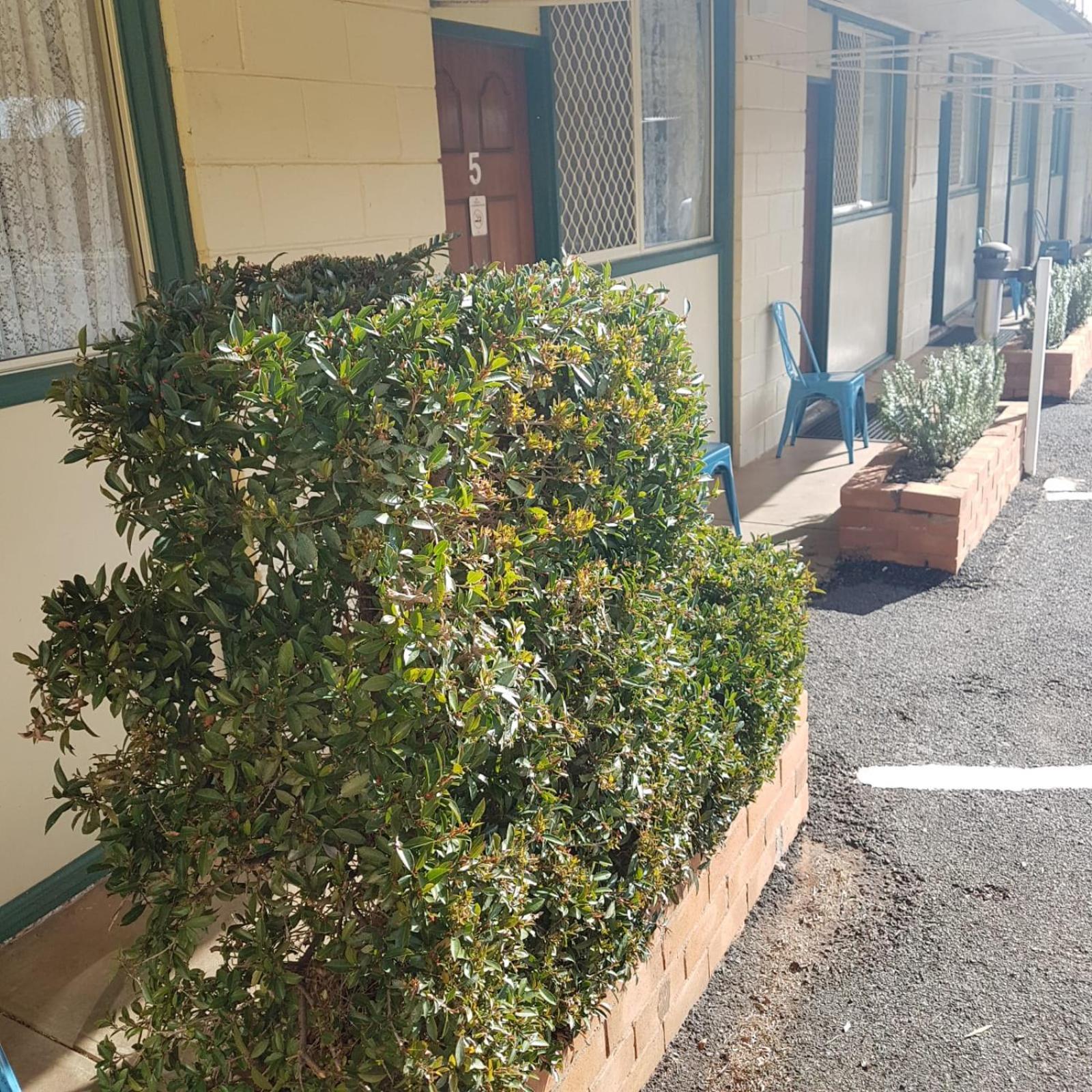Golden Peak Motel Peakhill Peak Hill エクステリア 写真